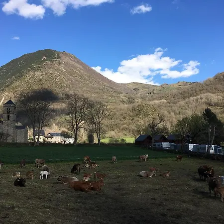 Kamp alanı Boneta